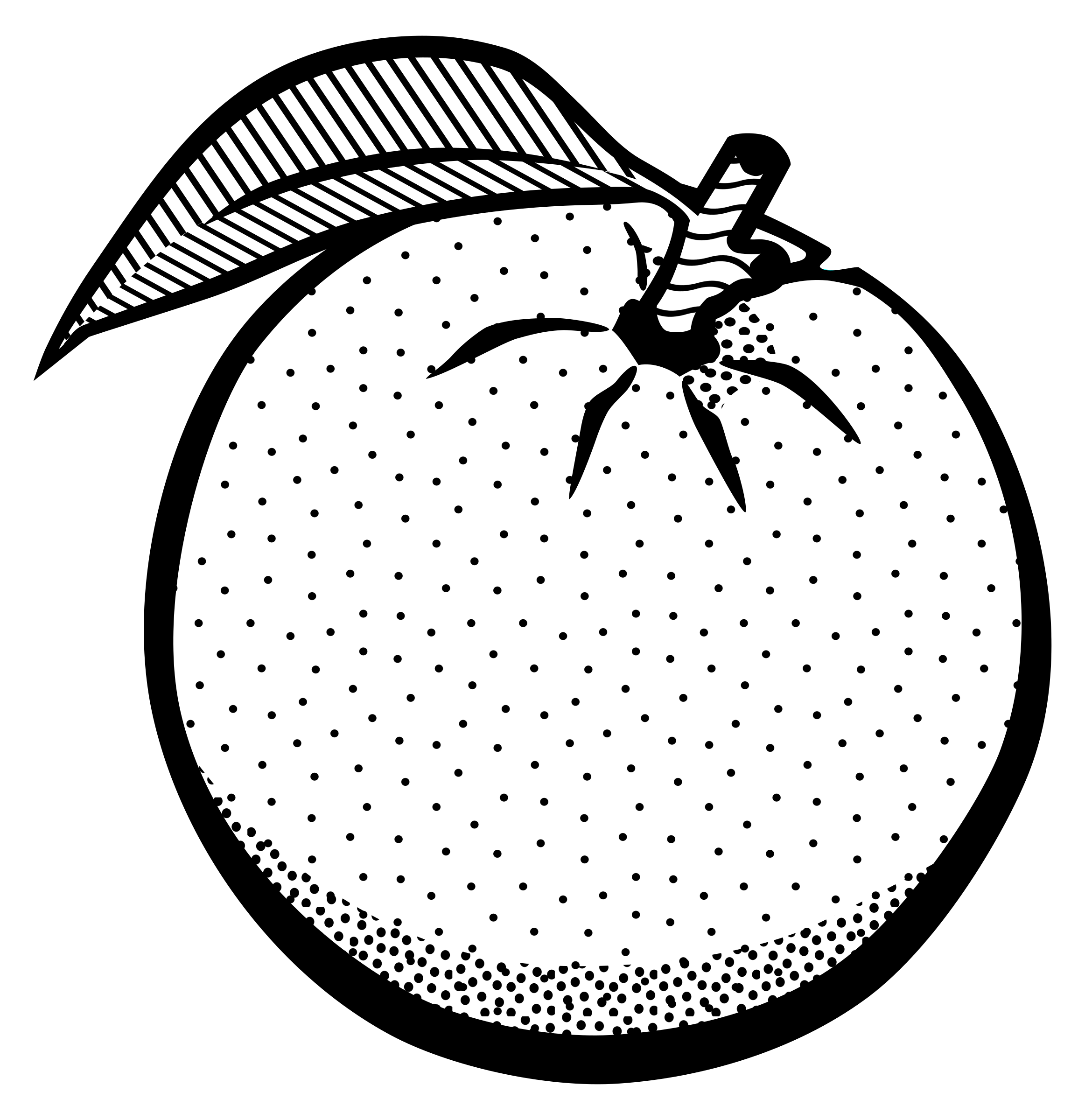 Fruit  black and white oranges clipart black and white logo more