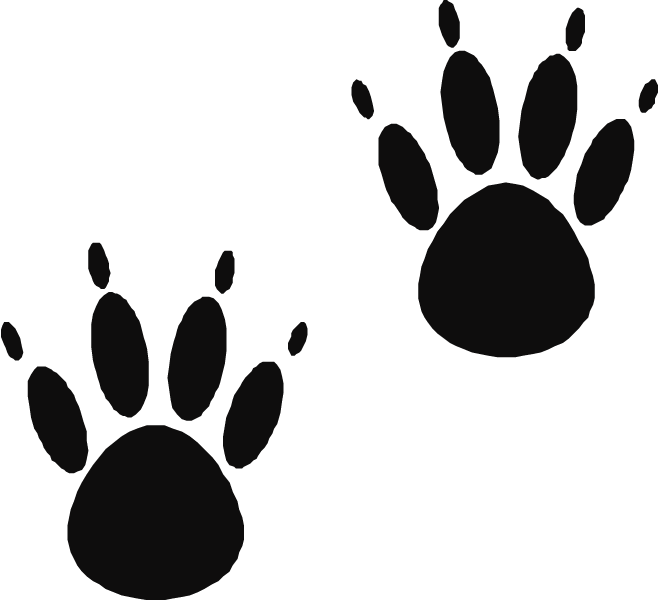 Green bear claw clipart clipartfest free