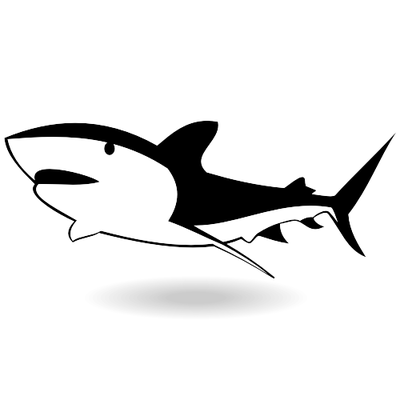 Shark fin clip art vector graphics 3