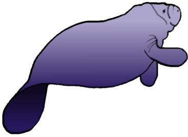 Manatee clip art free clipart images 2