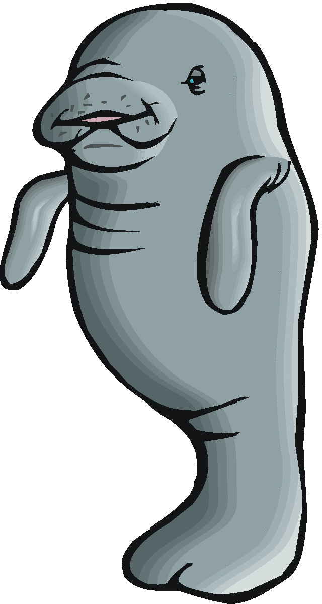Manatee clipart free images 3
