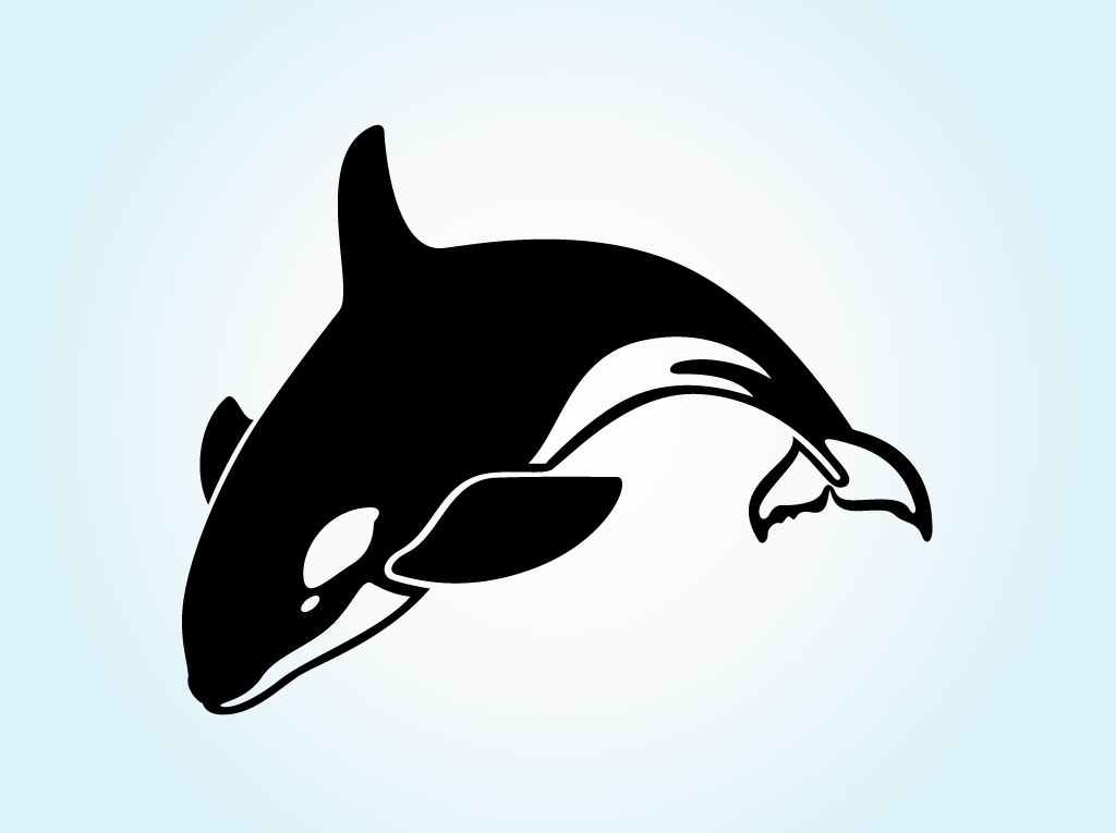 Orca clip art 5