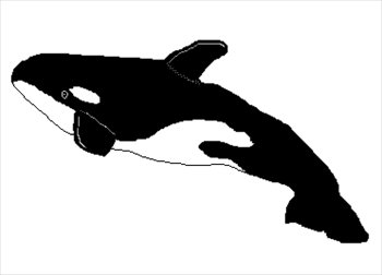 Orca free killer whale clipart graphics images and