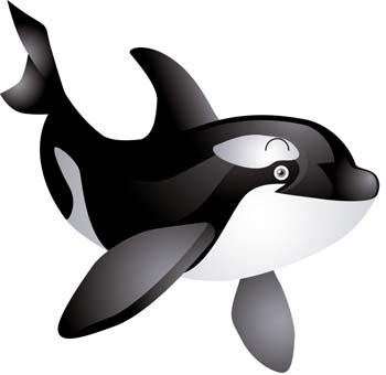 Orca killer whale clipart