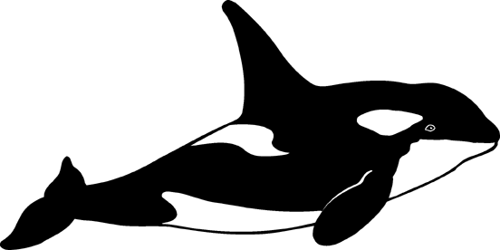 Orca whale clipart free images