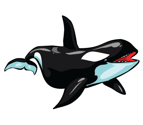 Orcas clip art free clipart images 3