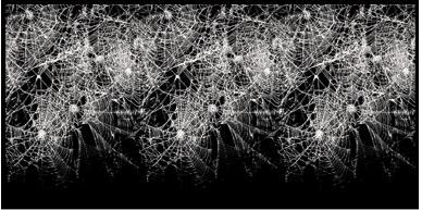 Spider web border halloween backgrounds southern importers houston