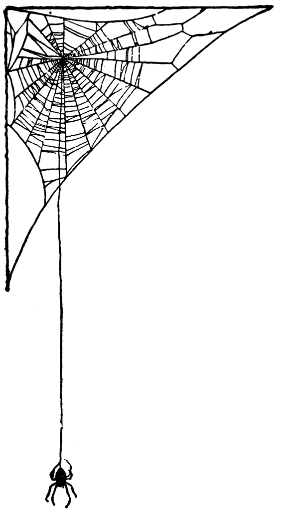Spider web border spiderweb clip art 2