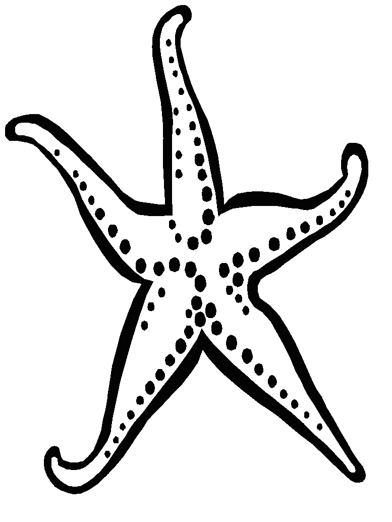 Fish black and white starfish clipart black and white free images