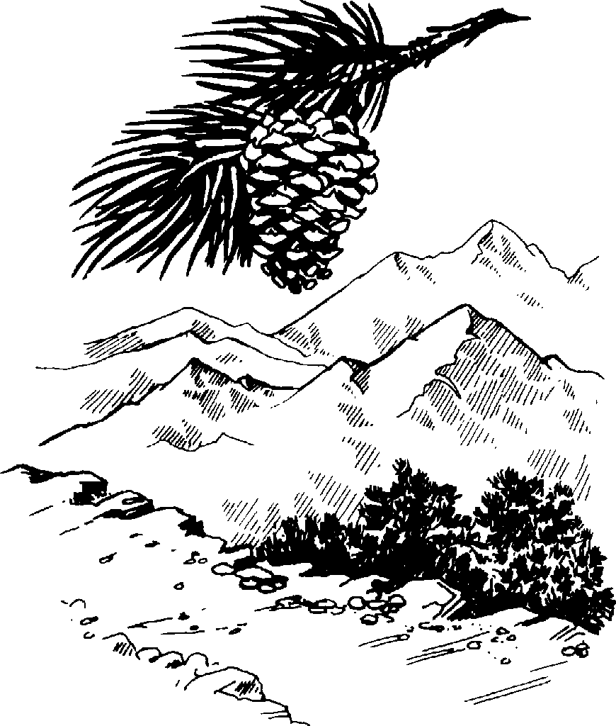 Mountain  black and white black and white clip art mountain scenery clipart download 3