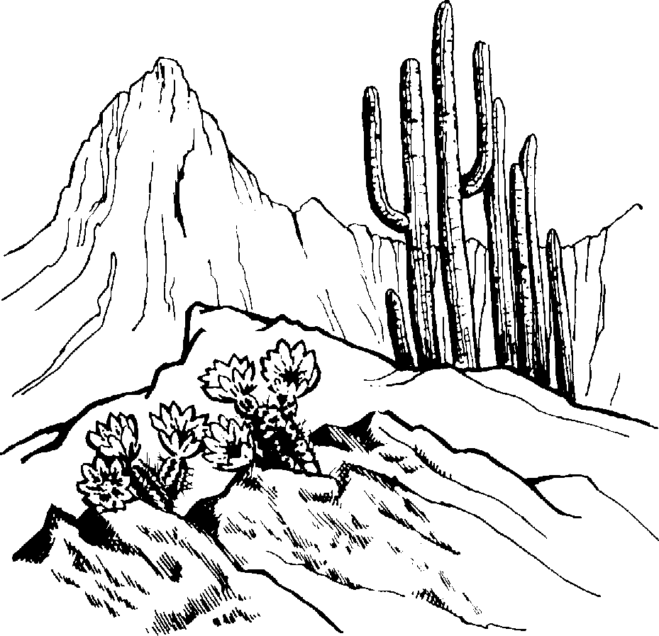 Mountain  black and white black and white mountain scenery clipart cliparts and others art