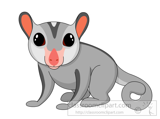 Possum free marsupial clipart pictures illustrations clip art and