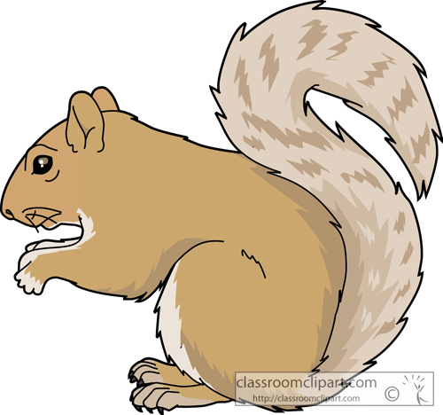 Squirrel  black and white free squirrel clipart clip art pictures graphics illustrations 2