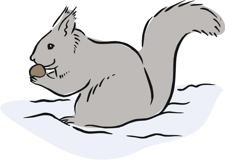 Squirrel  black and white free squirrel clipart