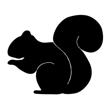 Squirrel  black and white squirrel clipart 7