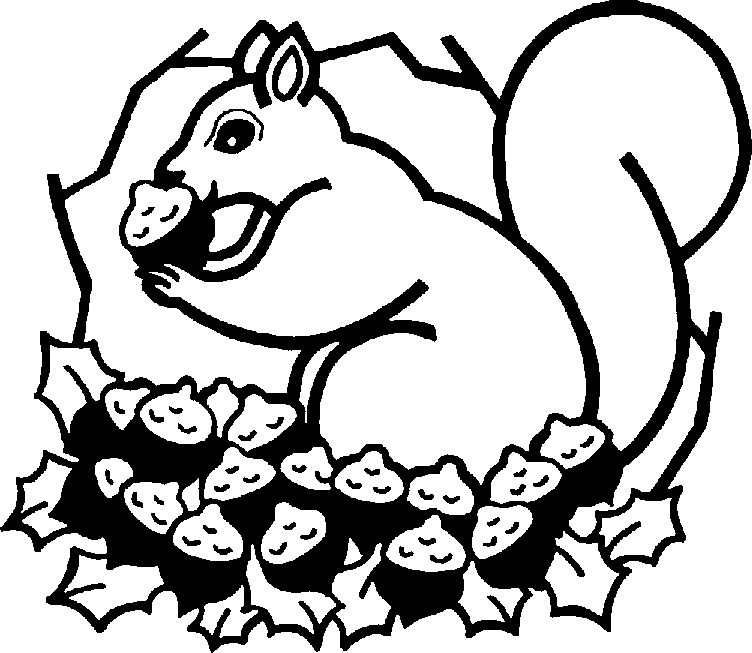 Squirrel  black and white squirrel clipart black and white image 1