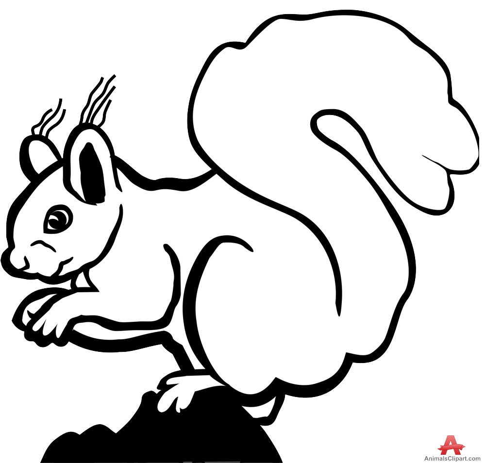 Squirrel  black and white squirrel outline drawing in black and white free clipart design