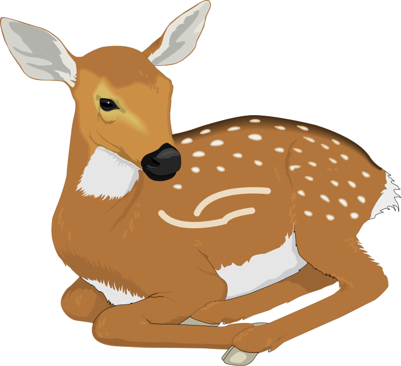 Baby deer clipart free clip art images image 1