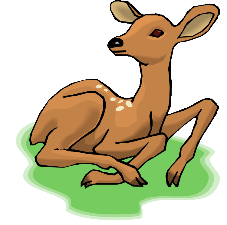 Baby deer clipart free clip art images