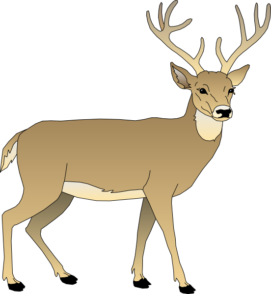 Baby deer clipart the cliparts