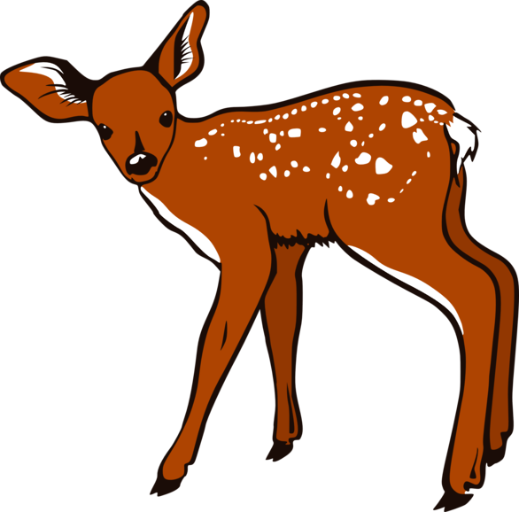 Cute baby deer clipart free images 3 3