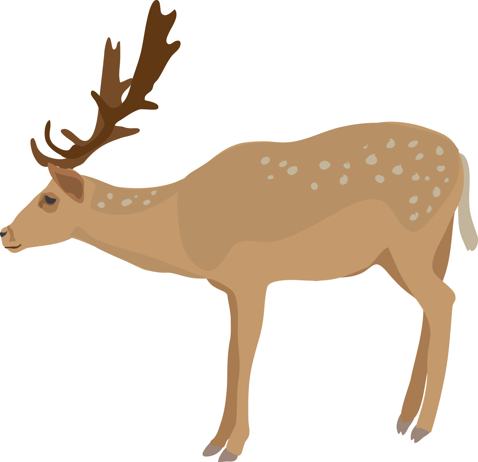 Cute baby deer clipart free images 6