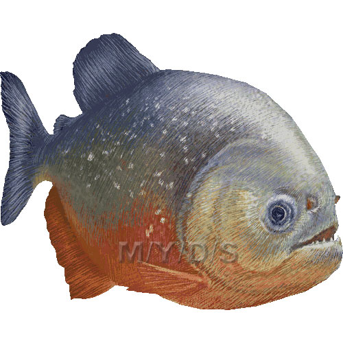 Top piranha clipart free image 15