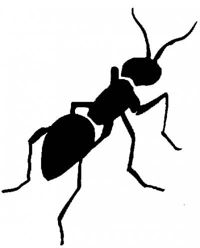 Ant  black and white ant clipart clipartaz free collection