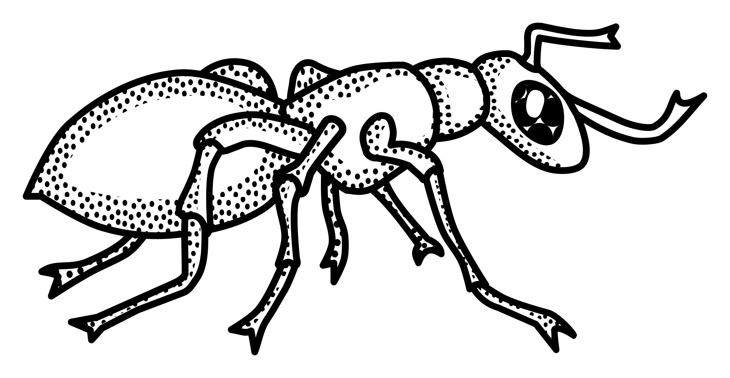 Ant  black and white ant clipart outline collection