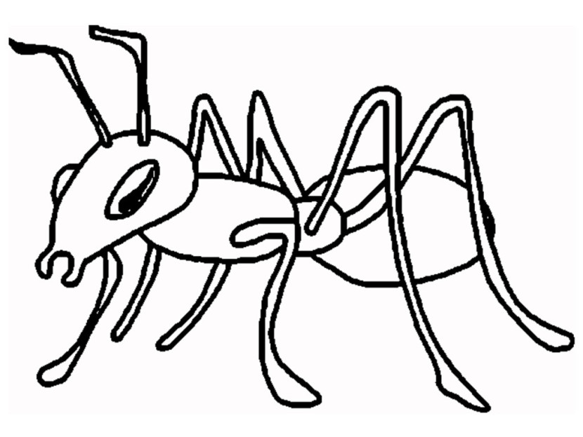 Ant  black and white ant clipart