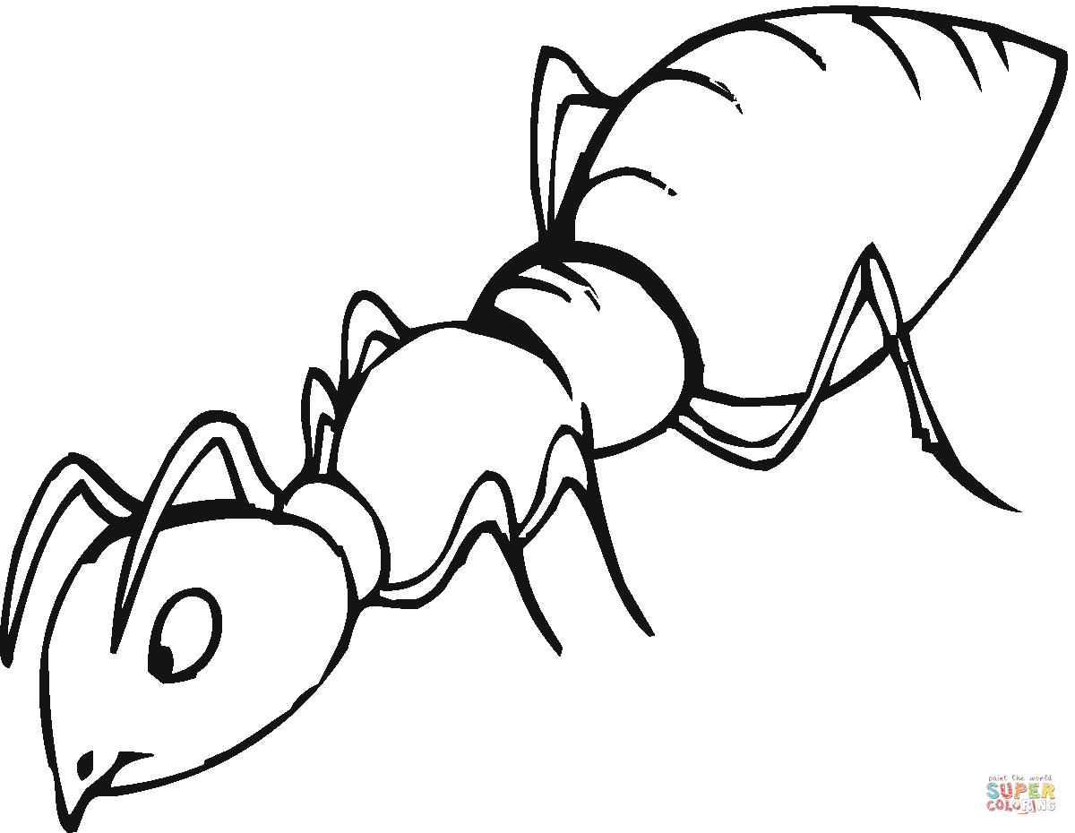 Ant  black and white ant is sniffing coloring page free printable coloring pages clipart