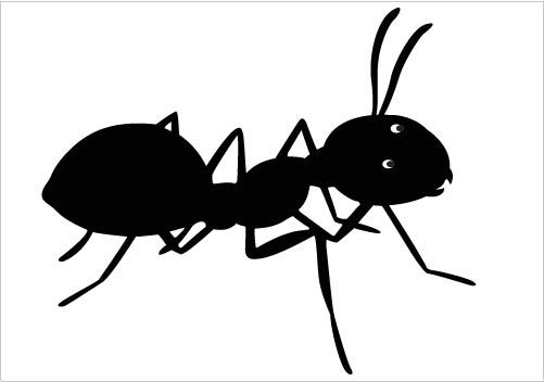 Ant  black and white clip art ants biezumd