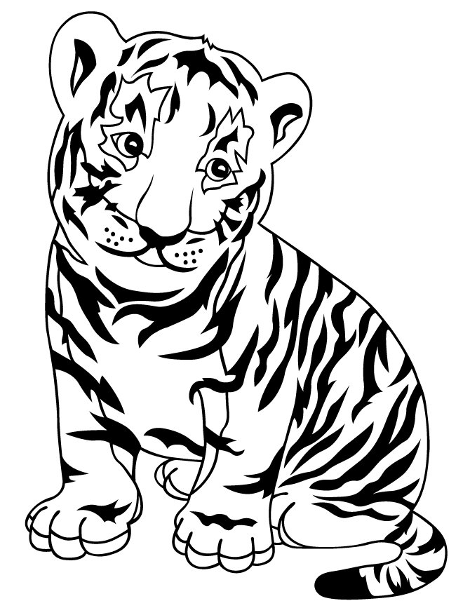 Baby tiger bengal tiger clipart clip art library