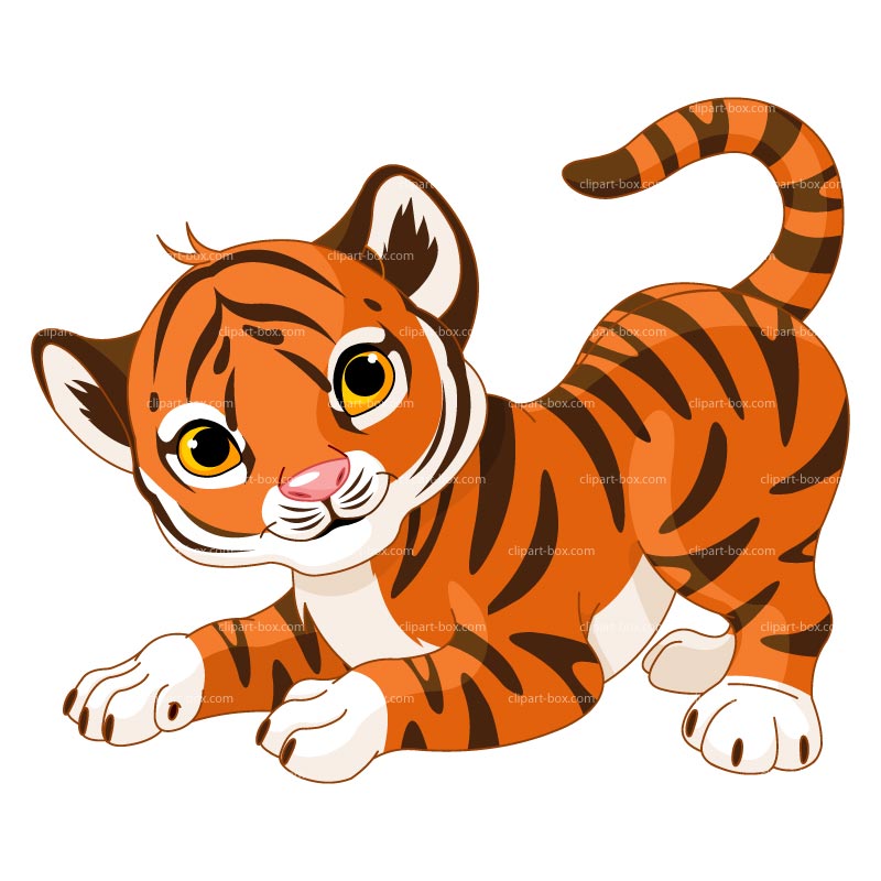 Baby tiger clipart 4
