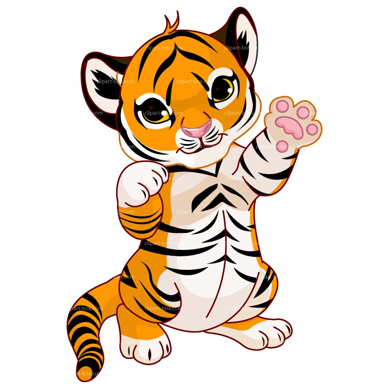 Baby tiger face clip art free clipart images