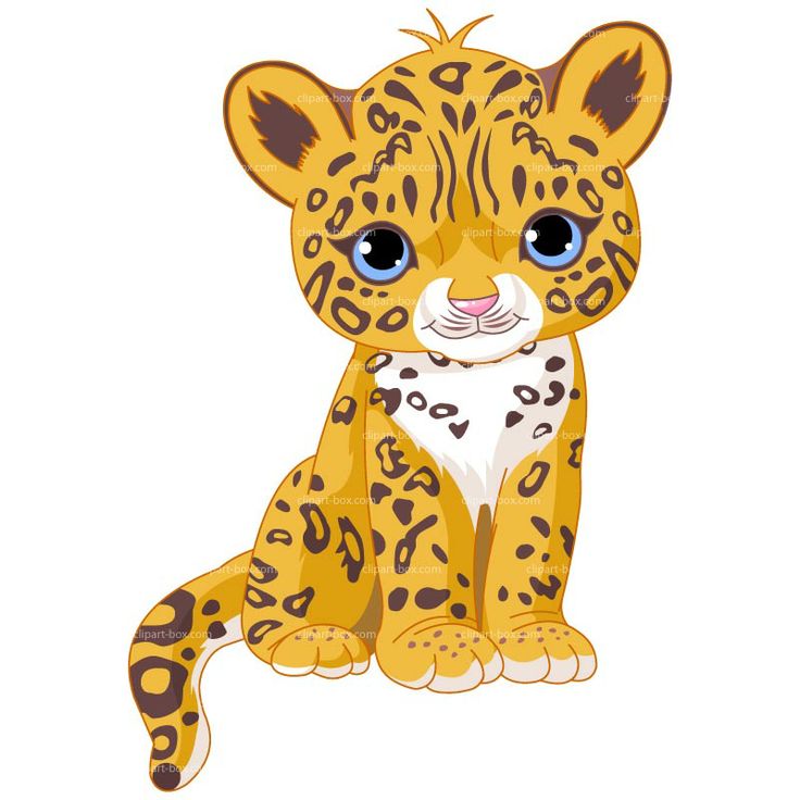 Baby tiger tiger images on animals drawings and clip art 3