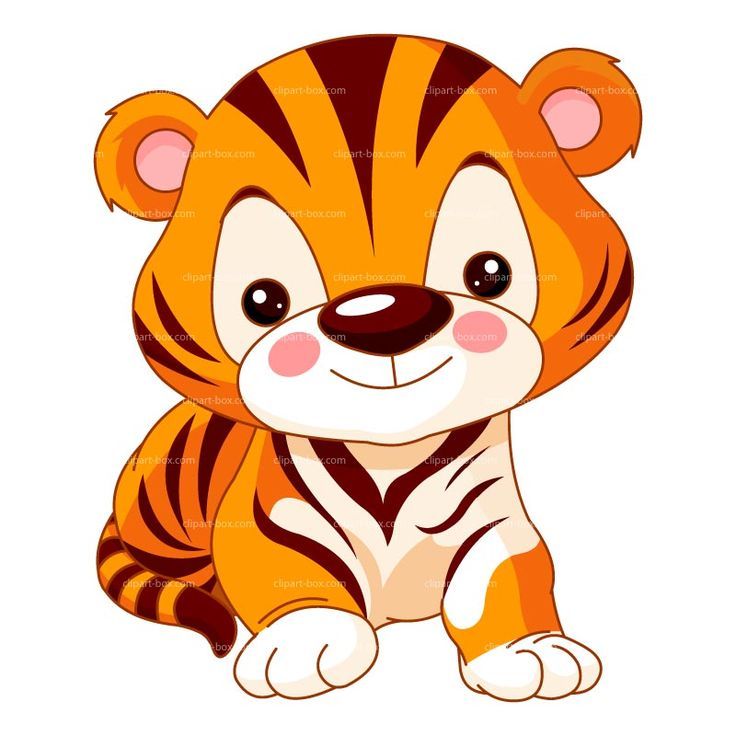 Baby tiger tiger images on animals drawings and clip art