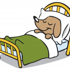 Bed  black and white dog bed cliparts free download clip art on