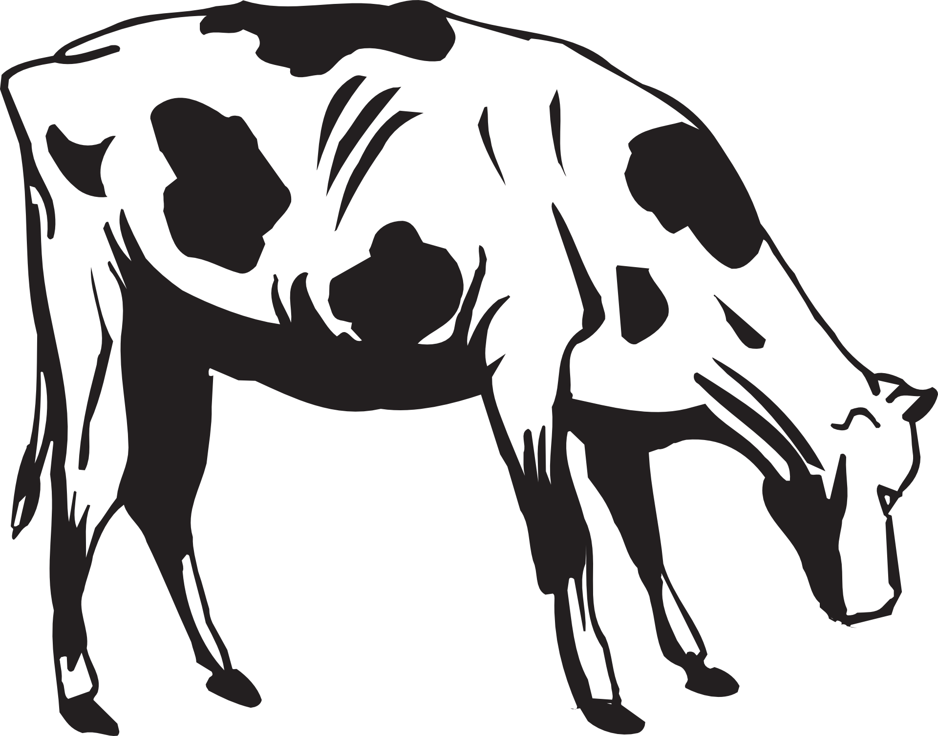Grass  black and white black cow eating grass clipart collection