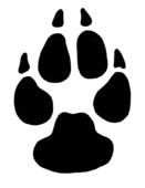 Dog paw prints domestic dog cliparts free download clip art - WikiClipArt