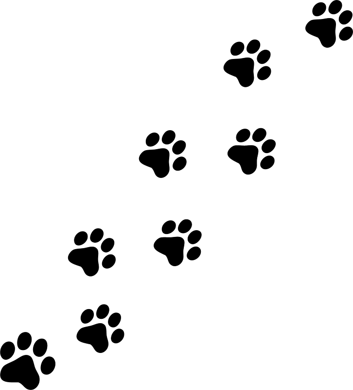 Dog paw prints paw print wildcats on dog paws paw tattoos and clip art image