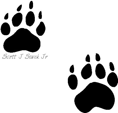 Dog paw prints raccoon paw prints clip art
