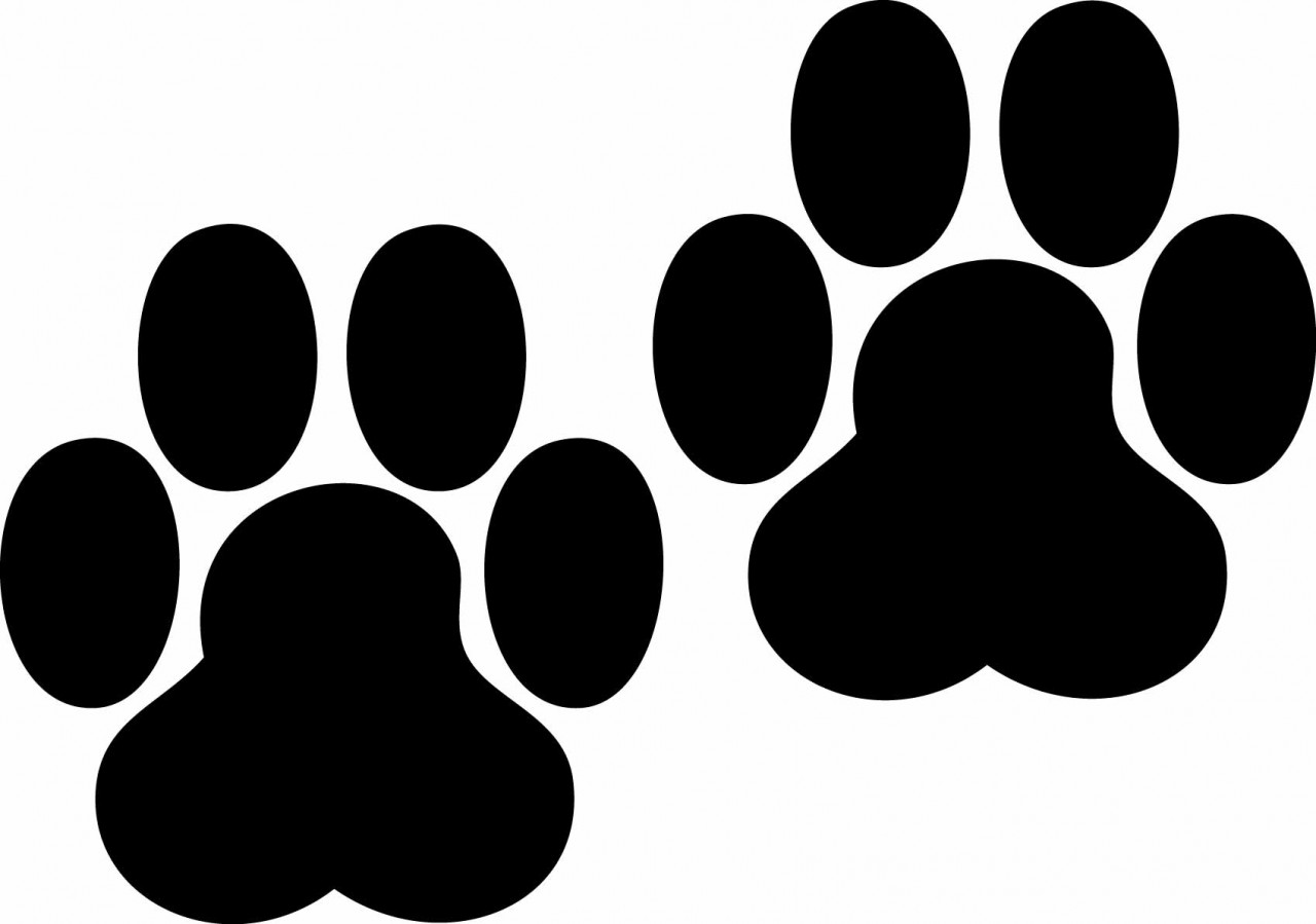 Paw print tattoos on dog paw prints scroll clipart 3 4 2 wikiclipart