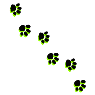 Printable dog paw prints clipart free to use clip art resource