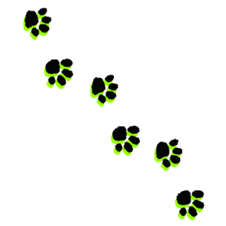 Free Dog Paw Print Template, Download Free Clip Art, Free Clip Art on  Clipart Library