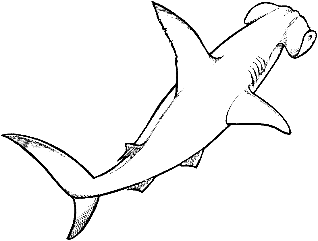Shark black and white black and white hammerhead shark clipart cliparts others art