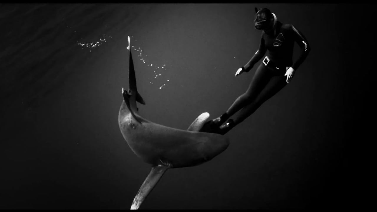 Shark black and white black swan on vimeo