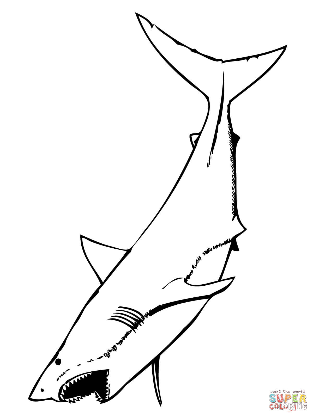 Shark black and white great white shark with mouth open coloring page free printable