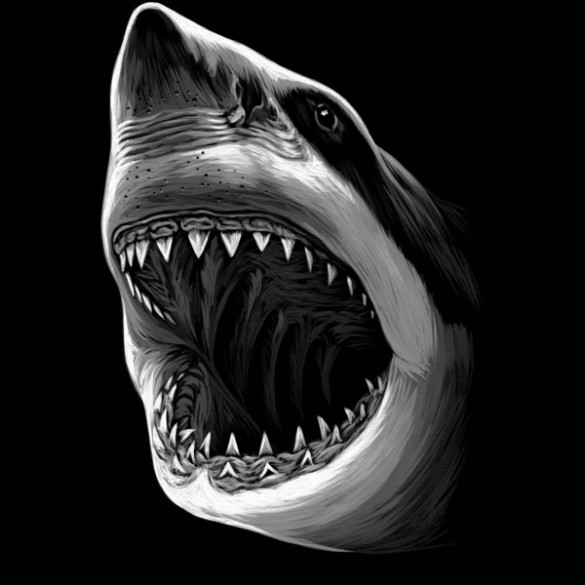 Shark black and white great white shark