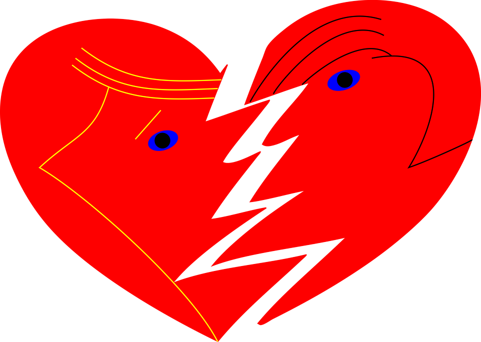 Real heart broken heart free pictures on pixabay clipart